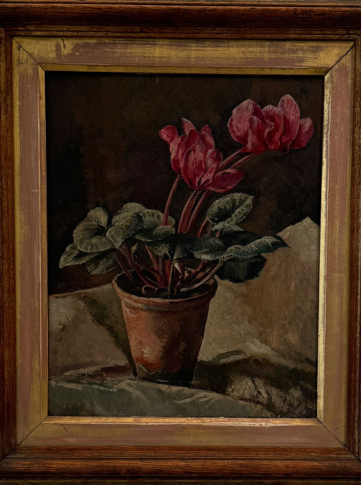 Flowers: Witness the Magic of Flowers