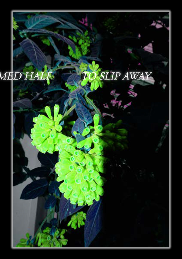 'The Colour Out of Space' by H.P Lovecraft and adapted by Mikaa’eel Asmal 'The Colour Out of Space' by H.P Lovecraft and adapted by Mikaa’eel Asmal