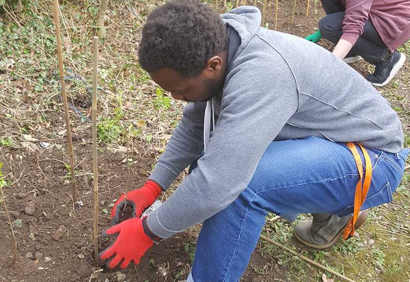 Emi Endo, BA (Hons) Illustration and Animation Emi Endo, BA (Hons) Illustration and Animation