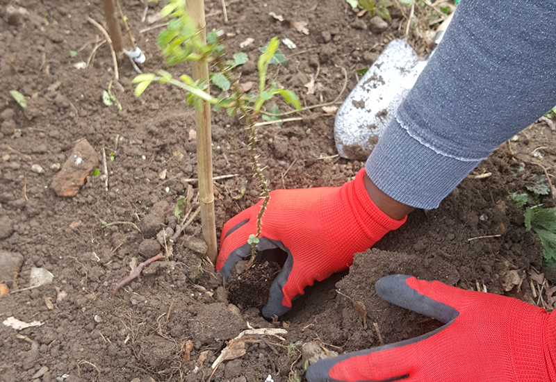 Emi Endo, BA (Hons) Illustration and Animation Emi Endo, BA (Hons) Illustration and Animation